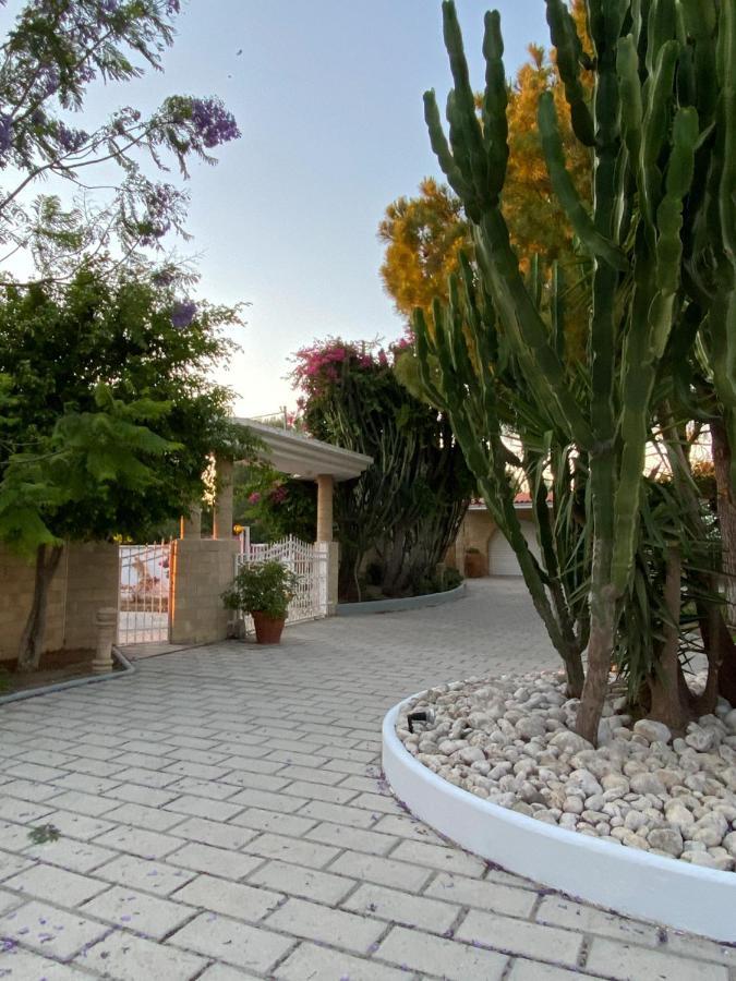 Nostrana Village Apartments Koskinou (Rhodes) Exterior foto